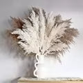 Decorative Pampas Grass Bouquet