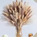 Decorative Pampas Grass Bouquet