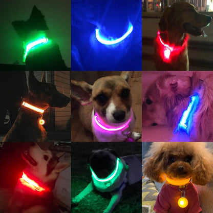 Colar de Led para Pets