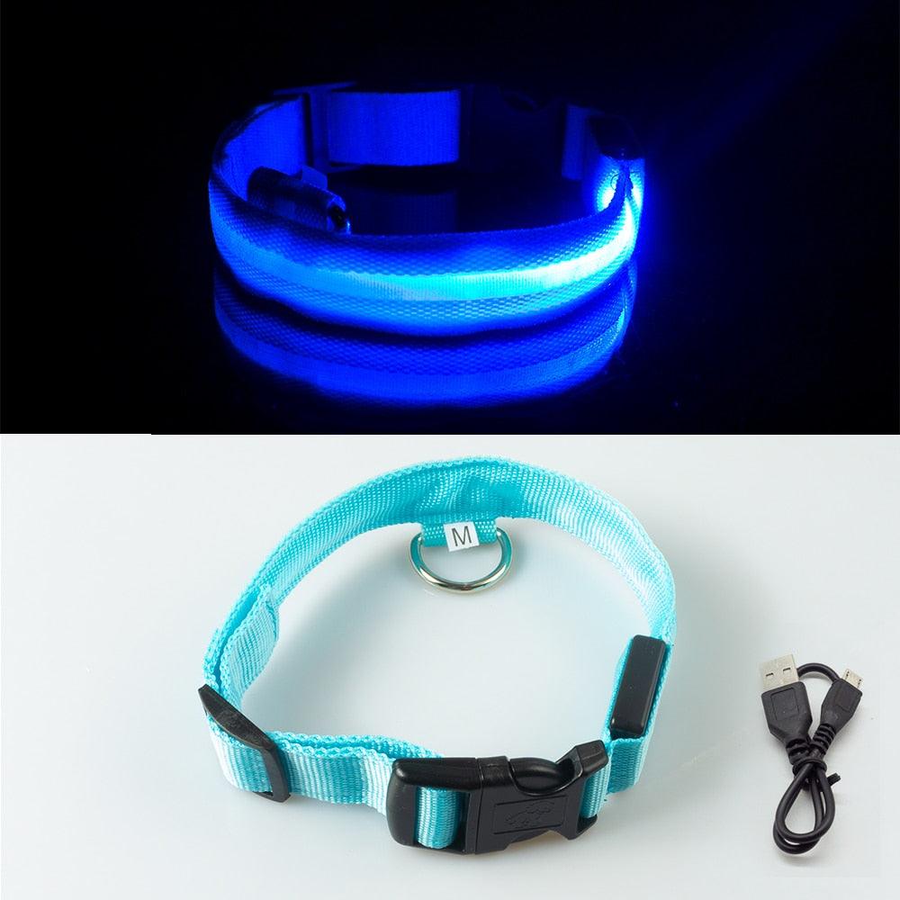 Colar de Led para Pets