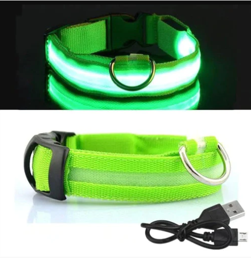 Colar de Led para Pets